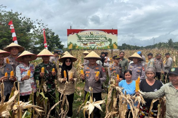 Panen Raya Jagung Singkawang Selatan